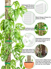 24/36inch Moss Pole For Monstera, Plastic Plant Climbing Totem Pole, Stackable Plant Support Stick With Plant Ties For Indoor Pothos Philodendron Houseplants - 2 Pcs - View 7