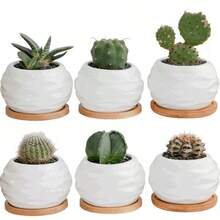 [1 Mini Ceramic Succulent Pot]Mini Ceramic Succulent Pot With Bamboo Tray‑Plants Not Included - Succulent Planter - View 1