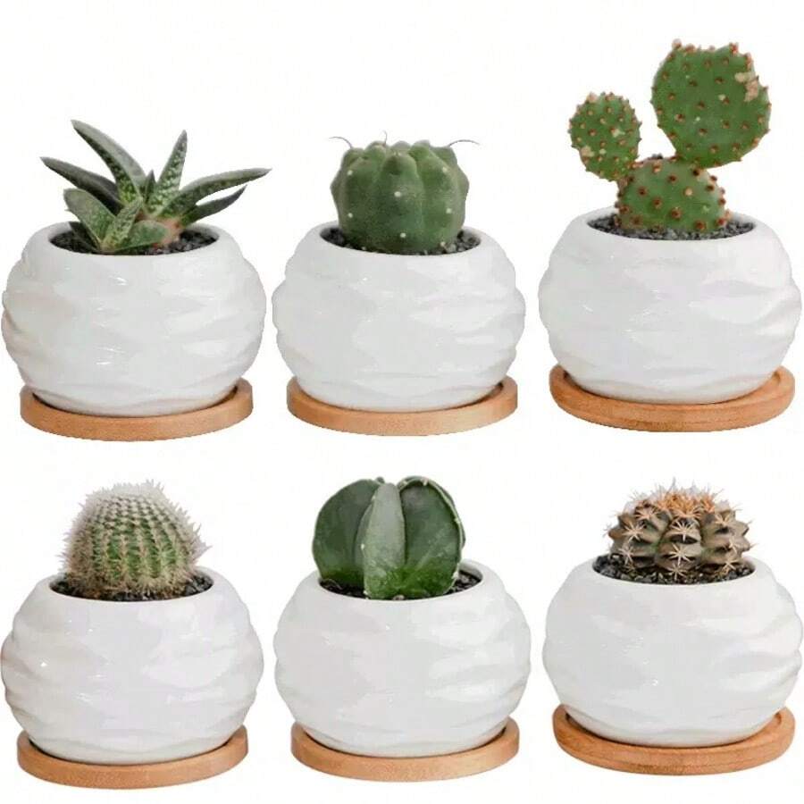[1 Mini Ceramic Succulent Pot]Mini Ceramic Succulent Pot With Bamboo Tray‑Plants Not Included - Succulent Planter - View 1