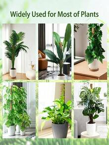 Monstera Plant Support Moss Pole, Stackable Coconut Fiber | Moss Totem Support Rod High Stand Plant Growth Pole Indoor Live Plant Moss Fixing Rack - Multicolor - View 6