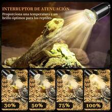 Reptile & Amphibian Habitat Lighting & Heating - Apricot - View 2