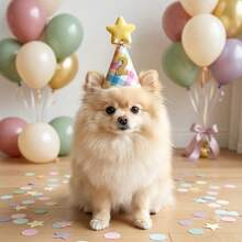 1pc Colorful Pet Birthday Hat, Cute Party Cone Hat With Pom Pom, Suitable For Dogs And Cats, Lightweight Adjustable Headpiece, Perfect For Celebration Events And Photo Props, Adorable Gift - Multicolor - View 5