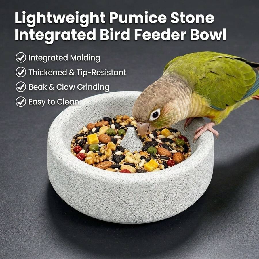 1pc Round Volcanic Stone Bird Food Bowl, Durable & Easy-Clean, Natural Pumice Chewing & Nail Grinding Dish For Parrots & Small Birds