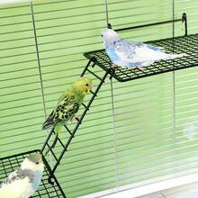 3pcs/Set Stainless Steel Minimalist Bird Cage Perch Platform With Ladder, Hanging Parrot Play And Standing Platform, Easy To Clean And Install, Multi-Functional Bird Climbing Rack And Feeding Platform, Bird Playground, Bird Training And Exercise Area, Suitable For Parrots, Lovebirds And All Birds And Small Pet Cages - View 7