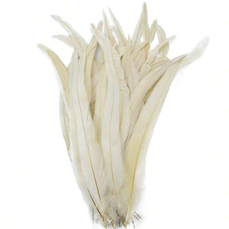 10/100支人造白色公雞羽毛，適用於嘉年華婚禮羽毛藝術、DIY手工藝、縫製衣物配件及創意羽毛裝飾 - 彩色 - 查看 13
