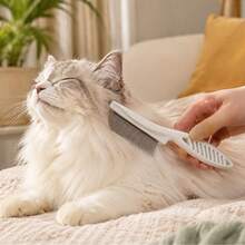1pc Pet Face Comb, Fine Teeth Efficient Cleaning, PP Material Fine Teeth Design (Rounded Tips Won't Scratch Pet's Delicate Facial Skin, Deeply Comb Hair Roots), Precisely Remove Lice, Loose Hair And Fine Dirt - White - View 4