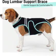 1 buah Rompi Pemulihan Pasca Operasi Anjing dengan Desain Garis Reflektif, Rompi Penopang Punggung Anjing Lembut untuk Pemulihan Pasca Operasi, Pencegahan Penyakit Punggung Anjing, Penopang Tulang Belakang untuk Dachshund, Corgi, French Bulldog dan Anjing Senior, Cocok untuk Anjing Besar, Sedang dan Kecil, Hitam, Semua Musim - Hitam - View 6