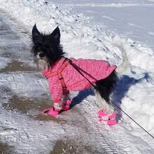 Premium Drawstring Closure Pet Boots, Reflective Strip Decoration, Fine Stitching Craftsmanship, Adjustable Drawstring Buckle, Anti-Slip Paw Protection Socks Shoes, Suitable For Small Dogs - Pink - View 10