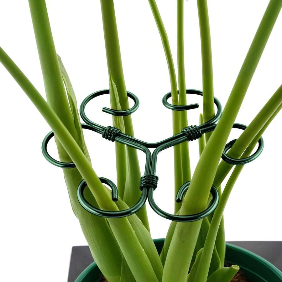 1/5pcs Green Iron Monstera Deliciosa Support, Uniquely Designed Indoor Plant Support Stake, Stable Plant Pillar And Support, Turtle Shell Bamboo Clip Set, Promote Healthy Growth - A - View 1