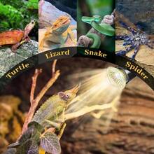 Reptile & Amphibian Habitat Lighting & Heating - Apricot - View 3
