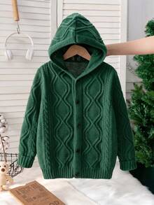 Boys' Vintage Hooded Single-Breasted Long Sleeve Cable Knit Cardigan Sweater, 3D Textured Argyle Pattern, Casual Versatile Jacket For Daily Wear, School, Spring, Autumn, Winter - Green - View 2
