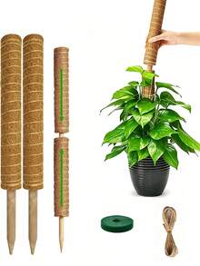 Monstera Plant Support Moss Pole, Stackable Coconut Fiber | Moss Totem Support Rod High Stand Plant Growth Pole Indoor Live Plant Moss Fixing Rack - Multicolor - View 1
