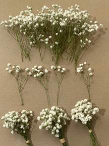 Green Stems and White Starry Sky