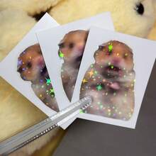 1pc/3pcs Cute Screaming Hamster Meme Sticker, Funny Hamster Animal Meme Vinyl Decals, Aesthetic Cartoon Pet Laptop Stickers, Water‑Resistant Removable Decal For Water Bottle, Skateboard, Phone Case, Notebook, Luggage - Glossy Film - View 11