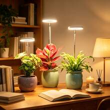 1Pc USB-Powered Full-Spectrum Plant Grow Light-A Modern, Circular Floor Lamp Suitable For All Kinds Of Potted Plants; Features A Timer Function And Multiple Spectrum Modes; Perfect For Succulents And An Ideal Gift For Plant Enthusiasts. - Large Grow Light - View 3