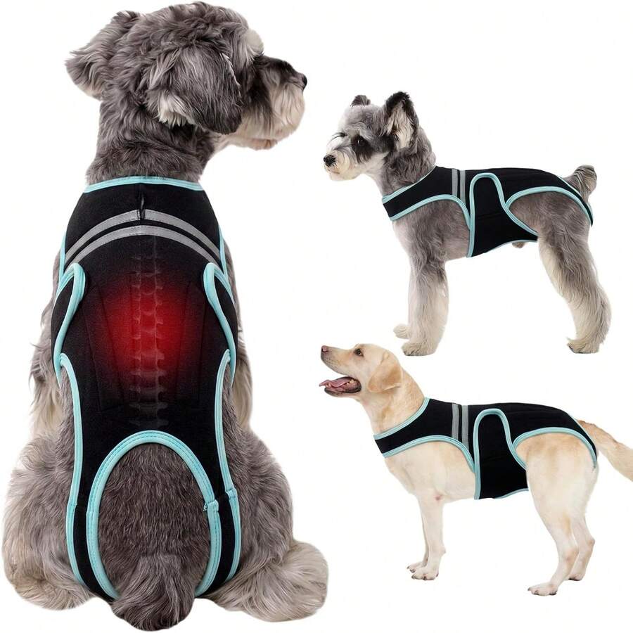1 buah Rompi Pemulihan Pasca Operasi Anjing dengan Desain Garis Reflektif, Rompi Penopang Punggung Anjing Lembut untuk Pemulihan Pasca Operasi, Pencegahan Penyakit Punggung Anjing, Penopang Tulang Belakang untuk Dachshund, Corgi, French Bulldog dan Anjing Senior, Cocok untuk Anjing Besar, Sedang dan Kecil, Hitam, Semua Musim - Hitam - View 1