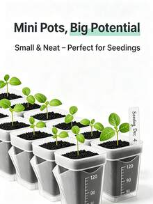 Mini Transparent Self-Watering Planter, Asymmetrical Shape With Water Level Indicator & Drainage Hole, PP Plastic Material, Suitable For Succulents, Air Plants, African Violets & Herbs - Multicolor - View 6