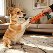 1pc Carrot Pet Toy, Durable Chew & Teething Toy For Dogs, Interactive Biting Toy For Cats - Multicolor - View 9