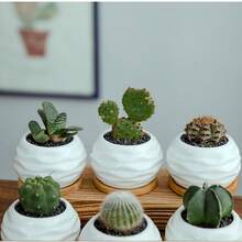 [1 Mini Ceramic Succulent Pot]Mini Ceramic Succulent Pot With Bamboo Tray‑Plants Not Included - Succulent Planter - View 2