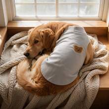 1 Buah Rompi Anjing Tanpa Lengan Kerah Tinggi, Pakaian Hewan Peliharaan Rajut Lembut dengan Aplikasi Tempelan Beruang Lucu, Pakaian Rumah Hangat Model Pullover untuk Anjing Ras Sedang hingga Besar - Light Grey - View 3