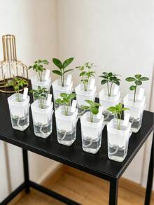 Mini Transparent Self-Watering Planter, Asymmetrical Shape With Water Level Indicator & Drainage Hole, PP Plastic Material, Suitable For Succulents, Air Plants, African Violets & Herbs - Multicolor - View 1