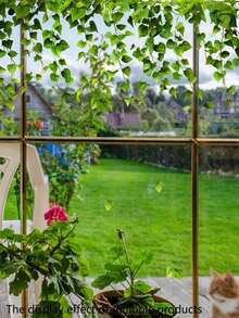 1pc 2D Maintenance-Free Artificial Green Vine, Ivy Leaves Window Top Hanging, Indoor Window Self-Adhesive Decoration - Multicolor - View 6