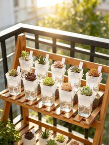 Mini Transparent Self-Watering Planter, Asymmetrical Shape With Water Level Indicator & Drainage Hole, PP Plastic Material, Suitable For Succulents, Air Plants, African Violets & Herbs - Multicolor - View 5