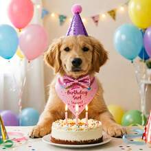 3pcs/6pcs Pet Cat Dog Supplies, Pet Happy Birthday Outfit With Bib & Bow Tie And Cute Birthday Party Hat, Suitable For Small And Medium Pets Cat Dog, Cat Birthday Gift Blue Pink Decoration Set - Pink - View 12