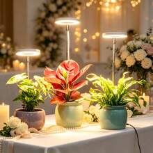 1Pc USB-Powered Full-Spectrum Plant Grow Light-A Modern, Circular Floor Lamp Suitable For All Kinds Of Potted Plants; Features A Timer Function And Multiple Spectrum Modes; Perfect For Succulents And An Ideal Gift For Plant Enthusiasts. - Large Grow Light - View 2