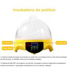 Egg Handling Supplies - US A Type Plug(110-127V) - View 5