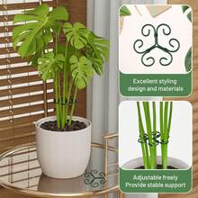 1/5pcs Green Iron Monstera Deliciosa Support, Uniquely Designed Indoor Plant Support Stake, Stable Plant Pillar And Support, Turtle Shell Bamboo Clip Set, Promote Healthy Growth - A - View 5
