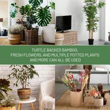 1/5pcs Green Iron Monstera Deliciosa Support, Uniquely Designed Indoor Plant Support Stake, Stable Plant Pillar And Support, Turtle Shell Bamboo Clip Set, Promote Healthy Growth - A - View 6