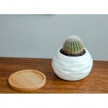 [1 Mini Ceramic Succulent Pot]Mini Ceramic Succulent Pot With Bamboo Tray‑Plants Not Included - Succulent Planter - View 3