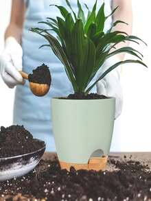 5-Piece Flower Pot Set For Home Balcony Vegetable Planting, Flower And Succulent Green Plant Cultivation With Base - B - View 2