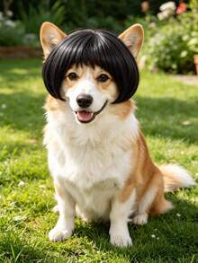 1pc Pet Cat Dog Wig, Pet Supplies Halloween Pet Accessories, Curly/Straight Cat Wig - Multicolor - View 5