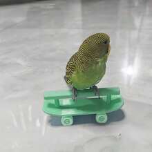 Parrot Skateboard Training Toy, Interactive Bird Play Toy With Stand, Perfect For Bird Intelligence Training, Enrichment & Entertainment - View 3