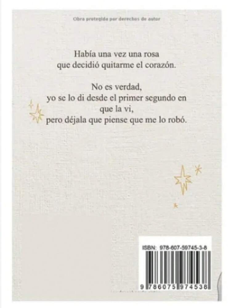 Poetry - Tek Kitap - Görünüm 2