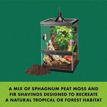 Zilla Jungle Mix Terrarium Substrate Bedding, 8 Quart | Supports Healthy Humidity, Reptile Dirt For Tropical Terrariums, Organic Blend, Soft Texture - ColorA - View 2