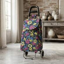 Shopping Bags And Cart - 10-1 - View 7