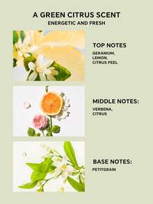 L'Occitane 檸檬香氛身體乳液 250ml/8.4 FL.OZ. - Verbena Perfumed-250ml -8.4 FL.0Z. - 查看 6