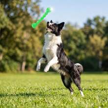 1/2pcs Dog Chew Sticks, Durable For Heavy Chewing, Prevents Splintering And Sharp Fragments, Massages Sore Gums, Satisfies Chewing Instinct, Suitable For Indoor Play, Outdoor Fetch And Daily Emotional Relief, Dental Chew Toys - Multicolor - View 4