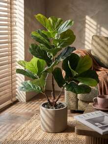 1Pc 85cm/95cm Artificial Fiddle Leaf Fig Tree Stem, Faux Plant For Home Decor, Living Room Office Corner Decoration, Bohemian Style, Wedding Christmas Party Gift, Fake Plants Without Pot - Green - View 6