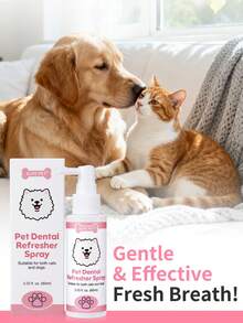 GJYC PET 寵物牙齒噴霧適用於狗與貓－無香精口氣清新劑，幫助維持牙齒清潔與牙齦健康，免刷牙簡易口腔護理，2.03 Fl Oz - 彩色 - 查看 4