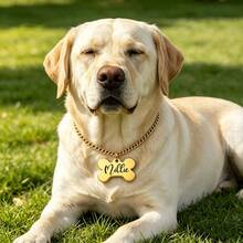 Custom Bone-Shaped Dog Name Necklace 18K Gold Plated Cuban Chain Stainless Steel Charm Necklaces Personalized Puppy Pet Jewelry Suitable For Cats And Dogs To Wear - Multicolor - View 2