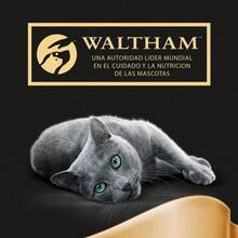 Sheba Délices du Jour Comida húmeda para Gatos Sabor Ave en salsa Multipack 12x6x50g - gramo - Ver 6