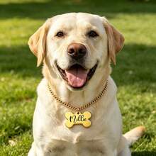 Custom Bone-Shaped Dog Name Necklace 18K Gold Plated Cuban Chain Stainless Steel Charm Necklaces Personalized Puppy Pet Jewelry Suitable For Cats And Dogs To Wear - Multicolor - View 4