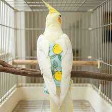 1pc Parrot Diaper Bird Poop Catcher Clothing Peony Cockatiel Breathable Flight Suit Available Sizes S/M/L Random Color Style - 1PC - View 7