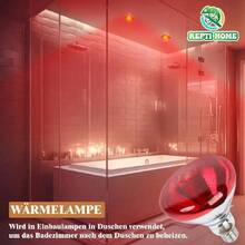 Reptile & Amphibian Habitat Lighting & Heating - Apricot - View 6