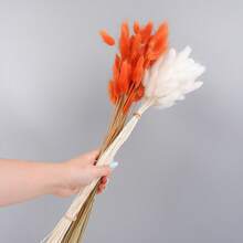 White and Orange