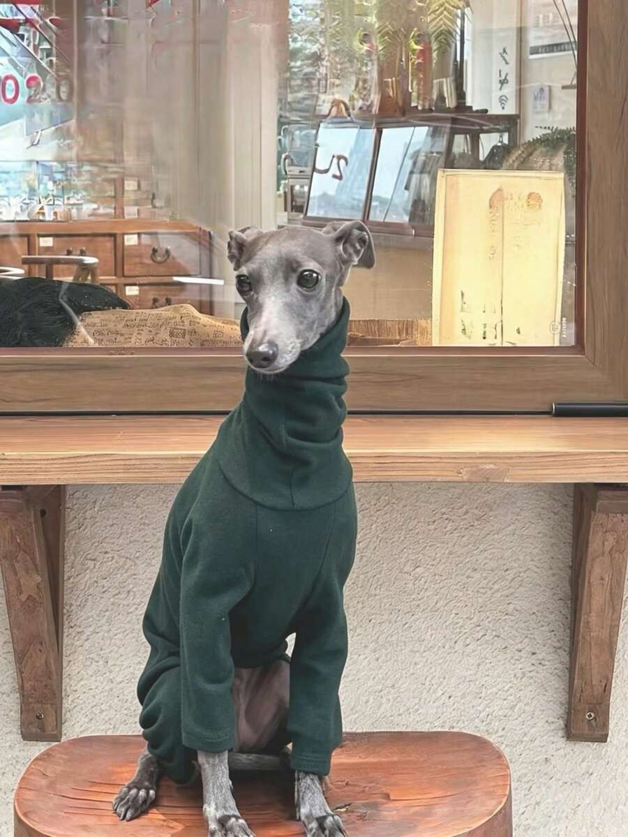 義大利灰狗/惠比特犬四足衛衣,時尚純色抓絨,適合中大型犬,柔軟舒適,彈性佳,秋冬居家穿著 - 墨綠色 - 查看 1